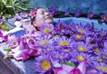 Life Ayurveda Resort в Ваддува Шри-Ланка ✅. Забронировать номер онлайн по выгодной цене в Life Ayurveda Resort. Трансфер из аэропорта.