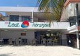 Lost Horizon Beach Dive Resort в Бохоль Филиппины ✅. Забронировать номер онлайн по выгодной цене в Lost Horizon Beach Dive Resort. Трансфер из аэропорта.