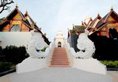 Maikhao Palm Beach Resort в Пхукет Таиланд ✅. Забронировать номер онлайн по выгодной цене в Maikhao Palm Beach Resort. Трансфер из аэропорта.