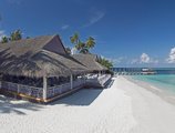 Malahini Kuda Bandos Resort в Атолл Северный Мале Мальдивы ✅. Забронировать номер онлайн по выгодной цене в Malahini Kuda Bandos Resort. Трансфер из аэропорта.