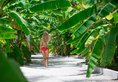 Malahini Kuda Bandos Resort в Атолл Северный Мале Мальдивы ✅. Забронировать номер онлайн по выгодной цене в Malahini Kuda Bandos Resort. Трансфер из аэропорта.