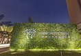 Mangrove Tree Resort World Sanya Bay в Хайнань Китай ✅. Забронировать номер онлайн по выгодной цене в Mangrove Tree Resort World Sanya Bay. Трансфер из аэропорта.