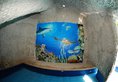 Marcosas Cottages Resort в Себу Филиппины ✅. Забронировать номер онлайн по выгодной цене в Marcosas Cottages Resort. Трансфер из аэропорта.