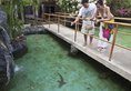 Bluewater Maribago в Себу Филиппины ✅. Забронировать номер онлайн по выгодной цене в Bluewater Maribago. Трансфер из аэропорта.