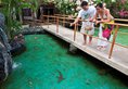 Bluewater Maribago в Себу Филиппины ✅. Забронировать номер онлайн по выгодной цене в Bluewater Maribago. Трансфер из аэропорта.