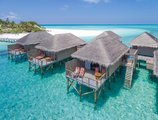 Meeru Island Resort в Атолл Северный Мале Мальдивы ✅. Забронировать номер онлайн по выгодной цене в Meeru Island Resort. Трансфер из аэропорта.