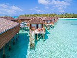 Meeru Island Resort в Атолл Северный Мале Мальдивы ✅. Забронировать номер онлайн по выгодной цене в Meeru Island Resort. Трансфер из аэропорта.