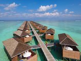 Meeru Island Resort в Атолл Северный Мале Мальдивы ✅. Забронировать номер онлайн по выгодной цене в Meeru Island Resort. Трансфер из аэропорта.