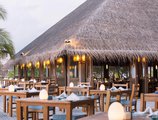 Meeru Island Resort в Атолл Северный Мале Мальдивы ✅. Забронировать номер онлайн по выгодной цене в Meeru Island Resort. Трансфер из аэропорта.