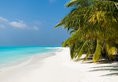 Meeru Island Resort в Атолл Северный Мале Мальдивы ✅. Забронировать номер онлайн по выгодной цене в Meeru Island Resort. Трансфер из аэропорта.