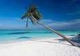 Meeru Island Resort в Атолл Северный Мале Мальдивы ✅. Забронировать номер онлайн по выгодной цене в Meeru Island Resort. Трансфер из аэропорта.