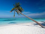 Meeru Island Resort в Атолл Северный Мале Мальдивы ✅. Забронировать номер онлайн по выгодной цене в Meeru Island Resort. Трансфер из аэропорта.