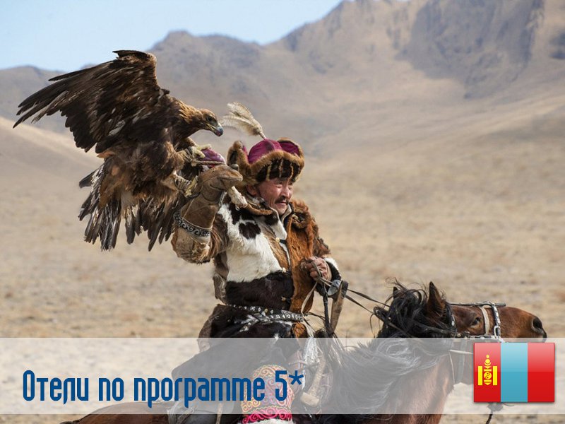 (5) Отель по программе (Монголия) в Монголия (регион по программе) Монголия ✅. Забронировать номер онлайн по выгодной цене в (5) Отель по программе (Монголия). Трансфер из аэропорта.