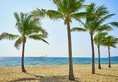 Mövenpick Villas & Residences Phu Quoc в Фукуок Вьетнам ✅. Забронировать номер онлайн по выгодной цене в Mövenpick Villas & Residences Phu Quoc. Трансфер из аэропорта.