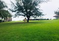 Muine Bay Phan Thiet в Фантьет Вьетнам ✅. Забронировать номер онлайн по выгодной цене в Muine Bay Phan Thiet. Трансфер из аэропорта.