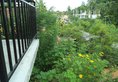 My Place Guest House в Унаватуна Шри-Ланка ✅. Забронировать номер онлайн по выгодной цене в My Place Guest House. Трансфер из аэропорта.