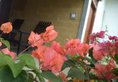 My Place Guest House в Унаватуна Шри-Ланка ✅. Забронировать номер онлайн по выгодной цене в My Place Guest House. Трансфер из аэропорта.