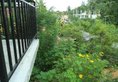 My Place Guest House в Унаватуна Шри-Ланка ✅. Забронировать номер онлайн по выгодной цене в My Place Guest House. Трансфер из аэропорта.