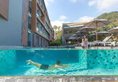 The Nature Phuket в Пхукет Таиланд ✅. Забронировать номер онлайн по выгодной цене в The Nature Phuket. Трансфер из аэропорта.