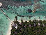 Nika Island Resort в Атолл Северный Ари Мальдивы ✅. Забронировать номер онлайн по выгодной цене в Nika Island Resort. Трансфер из аэропорта.