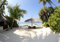 Nika Island Resort в Атолл Северный Ари Мальдивы ✅. Забронировать номер онлайн по выгодной цене в Nika Island Resort. Трансфер из аэропорта.