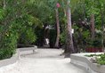 Nika Island Resort в Атолл Северный Ари Мальдивы ✅. Забронировать номер онлайн по выгодной цене в Nika Island Resort. Трансфер из аэропорта.