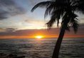 Nippon Villa Beach Resort в Хиккадува Шри-Ланка ✅. Забронировать номер онлайн по выгодной цене в Nippon Villa Beach Resort. Трансфер из аэропорта.