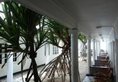 Nippon Villa Beach Resort в Хиккадува Шри-Ланка ✅. Забронировать номер онлайн по выгодной цене в Nippon Villa Beach Resort. Трансфер из аэропорта.
