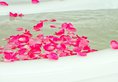 OC Boutique Hotel в Сиануквиль Камбоджа ✅. Забронировать номер онлайн по выгодной цене в OC Boutique Hotel. Трансфер из аэропорта.