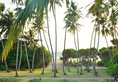Ocean View в Бентота Шри-Ланка ✅. Забронировать номер онлайн по выгодной цене в Ocean View. Трансфер из аэропорта.