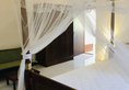 Ocean View в Бентота Шри-Ланка ✅. Забронировать номер онлайн по выгодной цене в Ocean View. Трансфер из аэропорта.