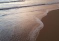 Ocean View в Бентота Шри-Ланка ✅. Забронировать номер онлайн по выгодной цене в Ocean View. Трансфер из аэропорта.