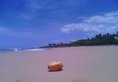 Ocean View в Бентота Шри-Ланка ✅. Забронировать номер онлайн по выгодной цене в Ocean View. Трансфер из аэропорта.
