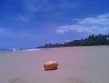 Ocean View в Бентота Шри Ланка ✅. Забронировать номер онлайн по выгодной цене в Ocean View. Трансфер из аэропорта.