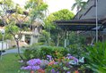 Palm Beach Hotel Bali в регион Кута Индонезия ✅. Забронировать номер онлайн по выгодной цене в Palm Beach Hotel Bali. Трансфер из аэропорта.
