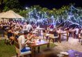 Paradise Beach Club Mirissa в Mirissa Шри-Ланка ✅. Забронировать номер онлайн по выгодной цене в Paradise Beach Club Mirissa. Трансфер из аэропорта.