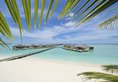 Paradise Island Resort & Spa в Атолл Северный Мале Мальдивы ✅. Забронировать номер онлайн по выгодной цене в Paradise Island Resort & Spa. Трансфер из аэропорта.