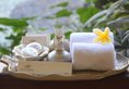 Parigata Resorts and Spa в регион Санур Индонезия ✅. Забронировать номер онлайн по выгодной цене в Parigata Resorts and Spa. Трансфер из аэропорта.