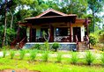 Eco Beach Resort Phu Quoc в Фукуок Вьетнам ✅. Забронировать номер онлайн по выгодной цене в Eco Beach Resort Phu Quoc. Трансфер из аэропорта.