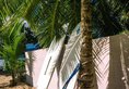 Pineapple Beach Villas в Маэ Сейшелы ✅. Забронировать номер онлайн по выгодной цене в Pineapple Beach Villas. Трансфер из аэропорта.