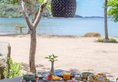 Plataran Komodo Resort & Spa в Комодо Индонезия ✅. Забронировать номер онлайн по выгодной цене в Plataran Komodo Resort & Spa. Трансфер из аэропорта.