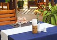 Thande Beach Hotel в Нгапали Мьянма ✅. Забронировать номер онлайн по выгодной цене в Thande Beach Hotel. Трансфер из аэропорта.