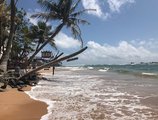 Polina Beach Resort в Хиккадува Шри Ланка ✅. Забронировать номер онлайн по выгодной цене в Polina Beach Resort. Трансфер из аэропорта.