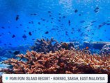 Pom Pom Island Resort в Пулау Пом Пом Малайзия ✅. Забронировать номер онлайн по выгодной цене в Pom Pom Island Resort. Трансфер из аэропорта.