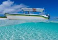 Pom Pom Island Resort в Пулау Пом Пом Малайзия ✅. Забронировать номер онлайн по выгодной цене в Pom Pom Island Resort. Трансфер из аэропорта.