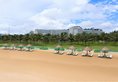 Radisson Blu Resort Phu Quoc в Фукуок Вьетнам ✅. Забронировать номер онлайн по выгодной цене в Radisson Blu Resort Phu Quoc. Трансфер из аэропорта.