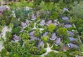 Renaissance Phuket Resort & Spa в Пхукет Таиланд ✅. Забронировать номер онлайн по выгодной цене в Renaissance Phuket Resort & Spa. Трансфер из аэропорта.