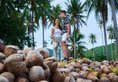 Renaissance Koh Samui Resort & Spa в Самуи Таиланд ✅. Забронировать номер онлайн по выгодной цене в Renaissance Koh Samui Resort & Spa. Трансфер из аэропорта.