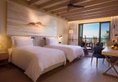 Saadiyat Rotana Resort and Villas в Абу-Даби ОАЭ ✅. Забронировать номер онлайн по выгодной цене в Saadiyat Rotana Resort and Villas. Трансфер из аэропорта.