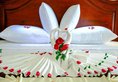 Richis Beach Resort в Фукуок Вьетнам ✅. Забронировать номер онлайн по выгодной цене в Richis Beach Resort. Трансфер из аэропорта.